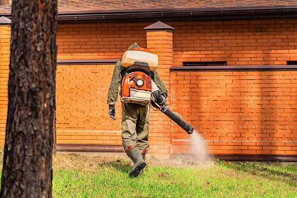 Trusted Cockroach Control service in Vermilion, OH - Nex Pest Control
